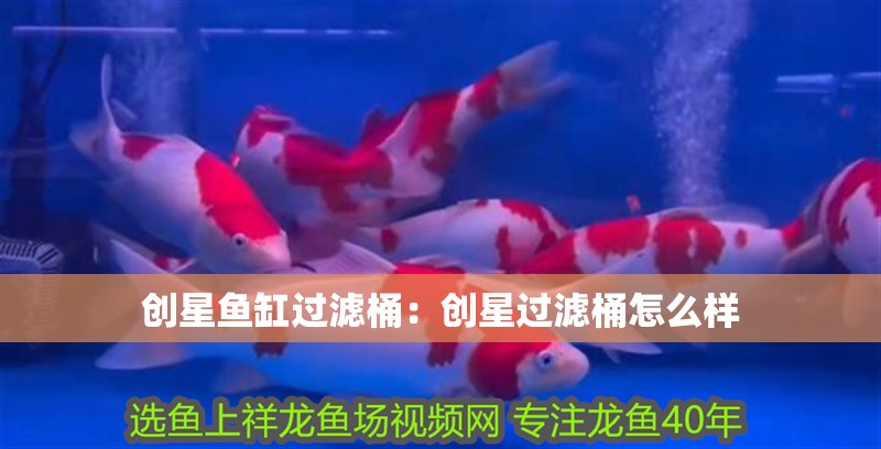 創星魚缸過濾桶：創星過濾桶怎么樣