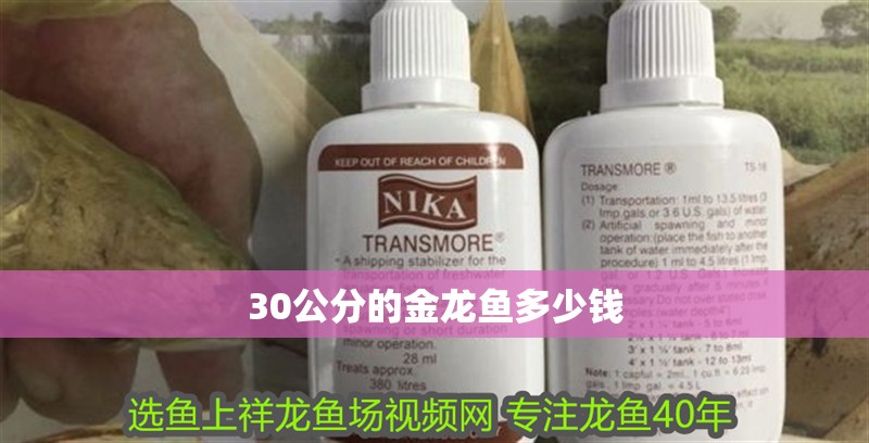 30公分的金龍魚多少錢