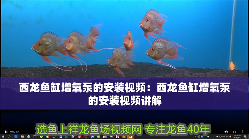 西龍魚缸增氧泵的安裝視頻：西龍魚缸增氧泵的安裝視頻講解 西龍魚缸增氧泵的安裝視頻：西龍魚缸增氧泵的安裝視頻講解 水族問答