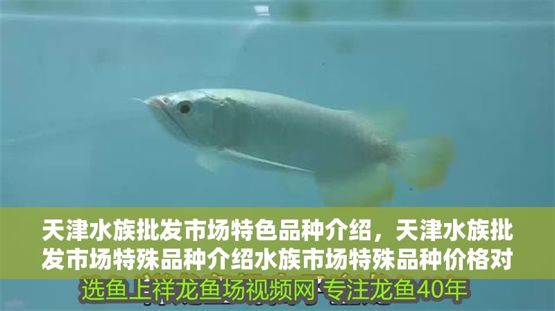 <strong><mark>天津</mark></strong>水族批發(fā)市場特色品種介紹，<strong><mark>天津</mark></strong>水族批發(fā)市場特殊品種介紹水族市場特殊品種價格對比