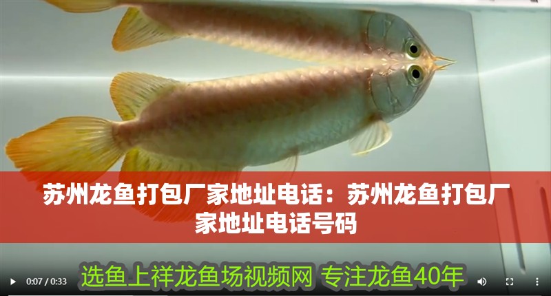 蘇州龍魚打包廠家地址電話：蘇州龍魚打包廠家地址電話號碼