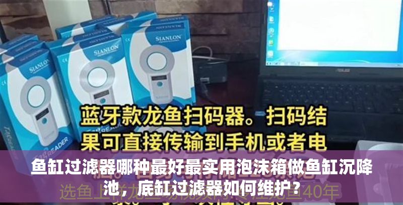 魚缸過濾器哪種最好最實用泡沫箱做魚缸沉降池，底缸過濾器如何維護？