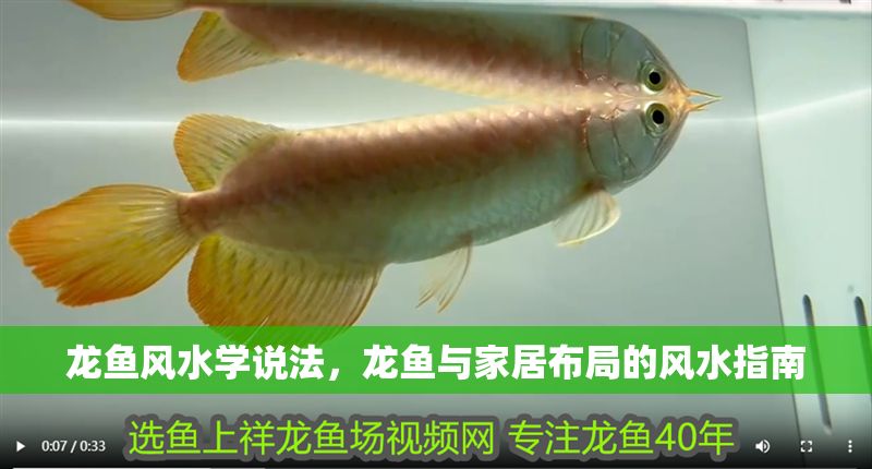 龍魚風(fēng)水學(xué)說法，龍魚與家居布局的風(fēng)水指南