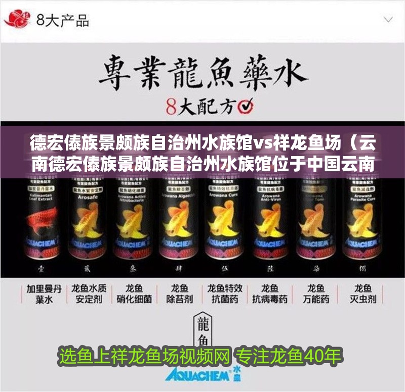 德宏傣族景頗族自治州水族館vs祥龍魚場（云南德宏傣族景頗族自治州水族館位于中國云南省西部） 德宏傣族景頗族自治州水族館vs祥龍魚場（云南德宏傣族景頗族自治州水族館位于中國云南省西部） 全國水族館企業名錄 第1張