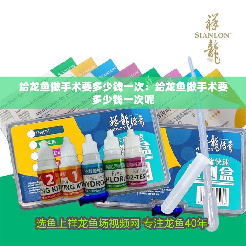 給龍魚做手術要多少錢一次：給龍魚做手術要多少錢一次呢