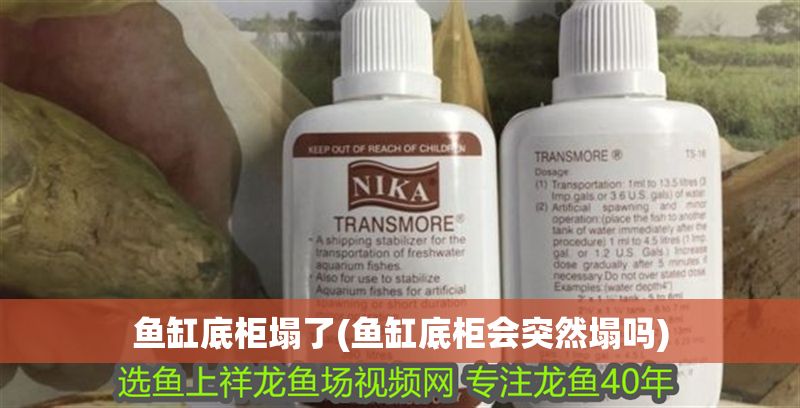 魚缸底柜塌了(魚缸底柜會突然塌嗎)