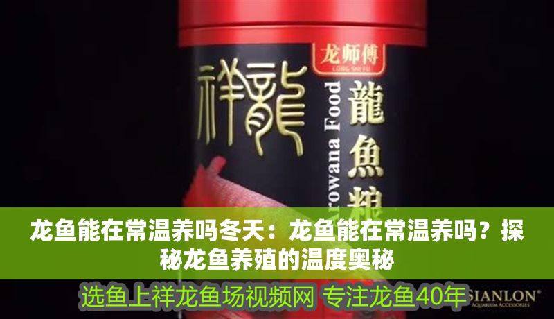 龍魚能在常溫養(yǎng)嗎冬天：龍魚能在常溫養(yǎng)嗎？探秘龍魚養(yǎng)殖的溫度奧秘