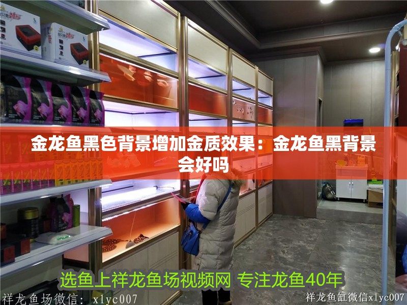 金龍魚黑色背景增加金質(zhì)效果：金龍魚黑背景會(huì)好嗎