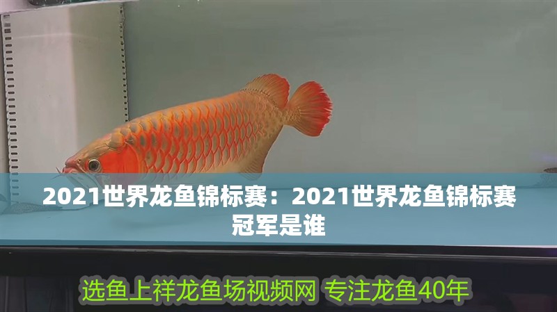 2021世界龍魚錦標(biāo)賽：2021世界龍魚錦標(biāo)賽冠軍是誰