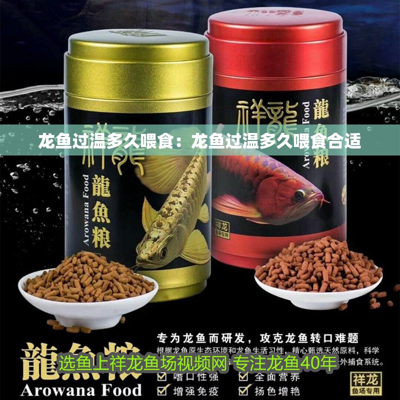 龍魚過溫多久喂食：龍魚過溫多久喂食合適