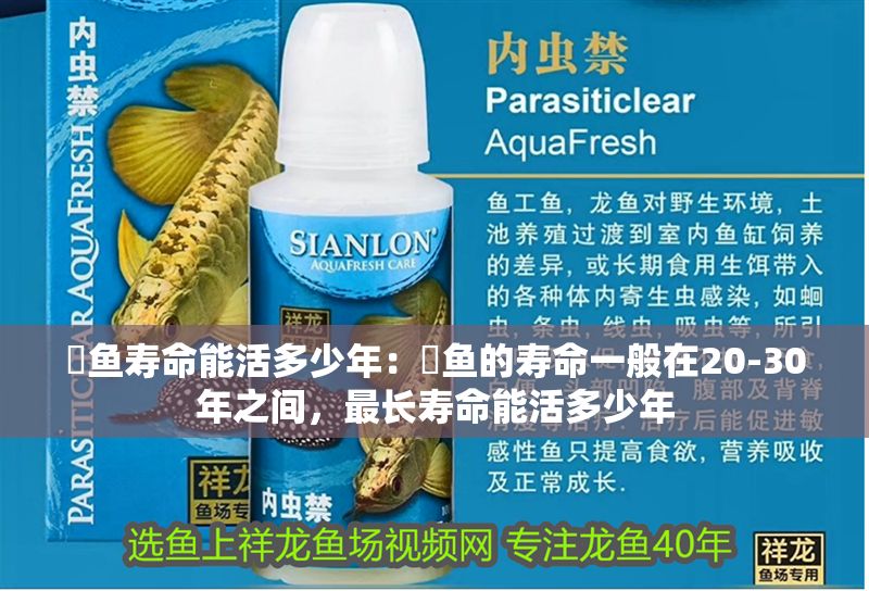 魟魚壽命能活多少年：魟魚的壽命一般在20-30年之間，最長(zhǎng)壽命能活多少年