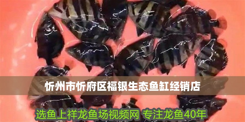 忻州市忻府區福銀生態魚缸經銷店