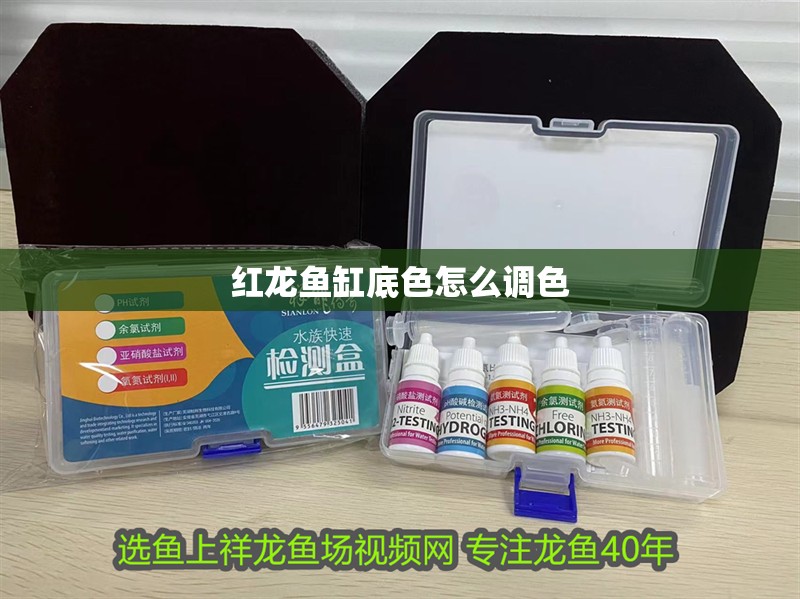 紅龍魚缸底色怎么調(diào)色