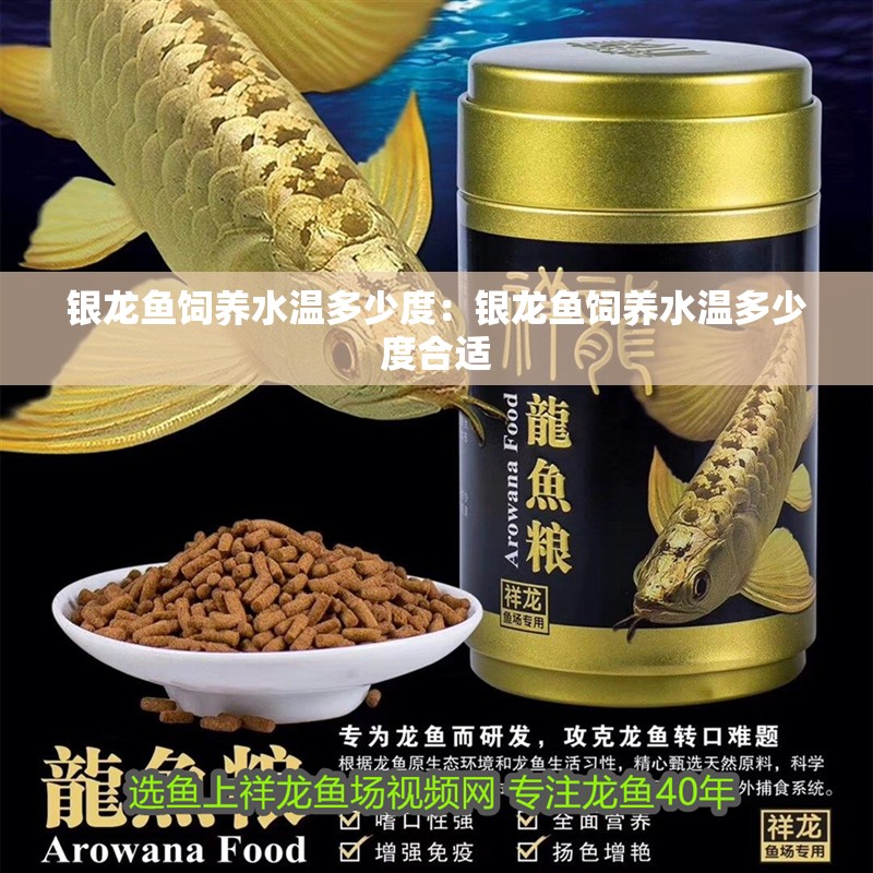銀龍魚飼養水溫多少度：銀龍魚飼養水溫多少度合適