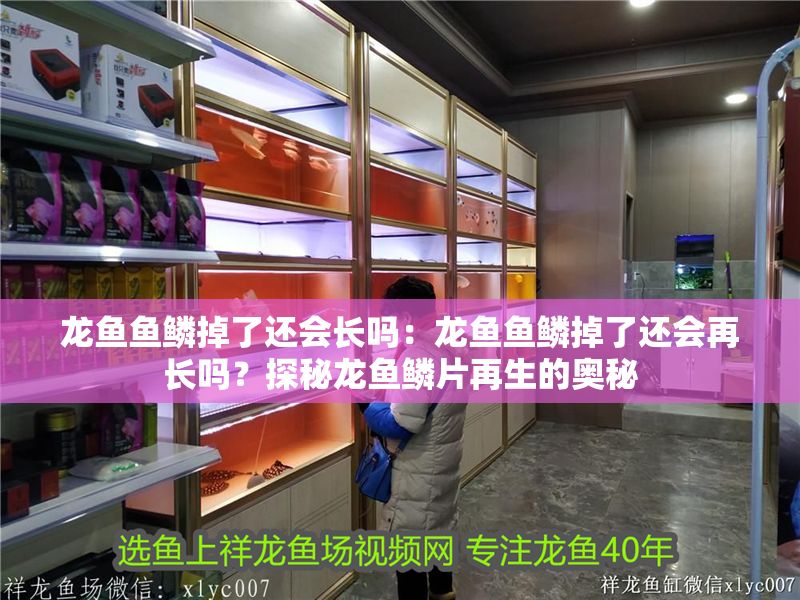 龍魚魚鱗掉了還會長嗎：龍魚魚鱗掉了還會再長嗎？探秘龍魚鱗片再生的奧秘