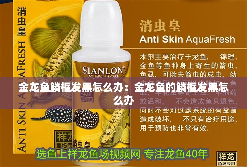 金龍魚鱗框發黑怎么辦：金龍魚的鱗框發黑怎么辦