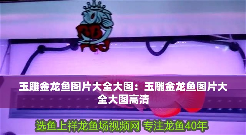 玉雕金龍魚圖片大全大圖：玉雕金龍魚圖片大全大圖高清