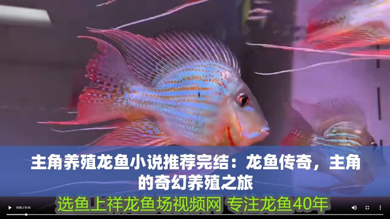 主角養殖龍魚小說推薦完結：龍魚傳奇，主角的奇幻養殖之旅