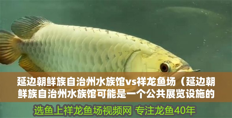 延邊朝鮮族自治州水族館vs祥龍魚場（延邊朝鮮族自治州水族館可能是一個公共展覽設施的場所）