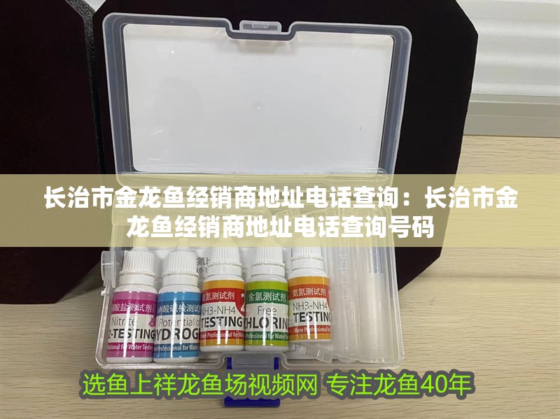 長治市金龍魚經銷商地址電話查詢：長治市金龍魚經銷商地址電話查詢號碼