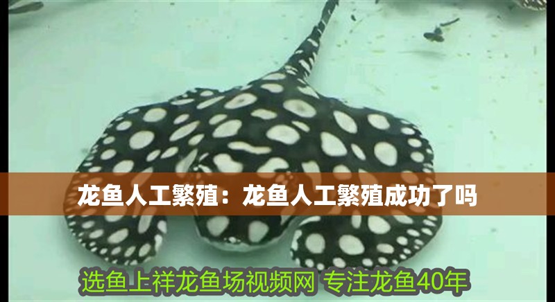 魚缸過濾器選購指南:自制魚缸過濾器魚缸上置過濾器對于養魚愛好者的必備知識 龍魚人工繁殖:龍魚人工繁殖成功了嗎 水族問答 龍魚人工繁殖:龍魚人工繁殖成功了嗎 龍魚人工繁殖:龍魚人工繁殖成功了嗎 水族問答