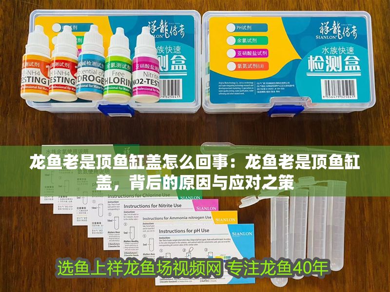 龍魚老是頂魚缸蓋怎么回事：龍魚老是頂魚缸蓋，背后的原因與應(yīng)對(duì)之策