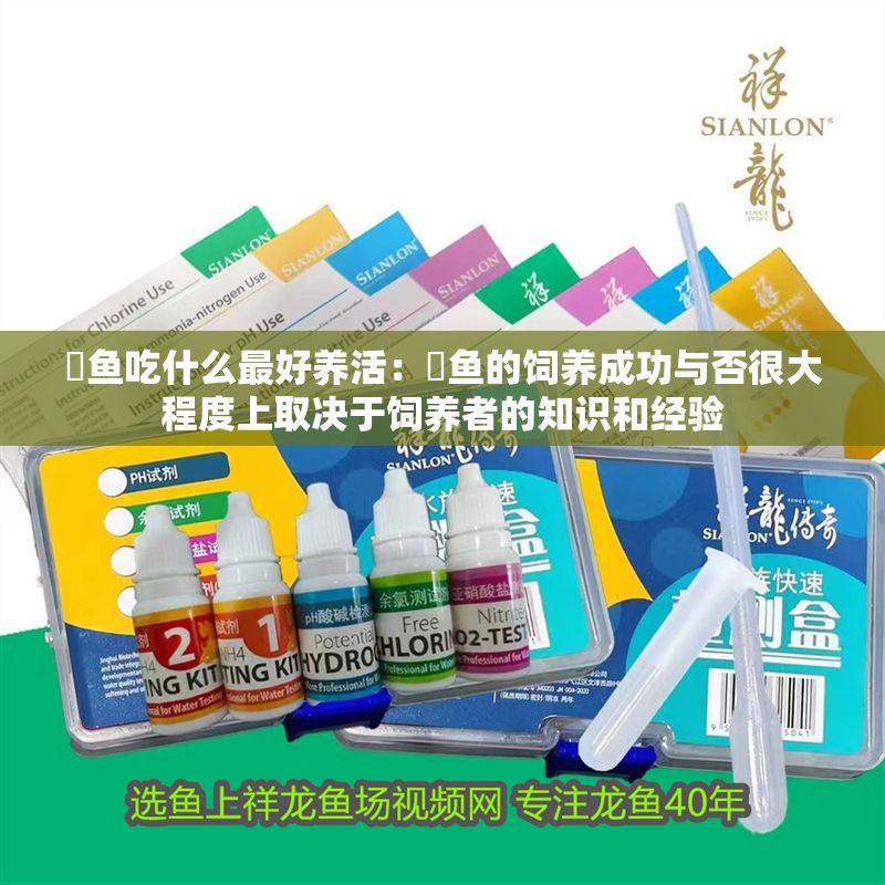 魟魚吃什么最好養活：魟魚的飼養成功與否很大程度上取決于飼養者的知識和經驗