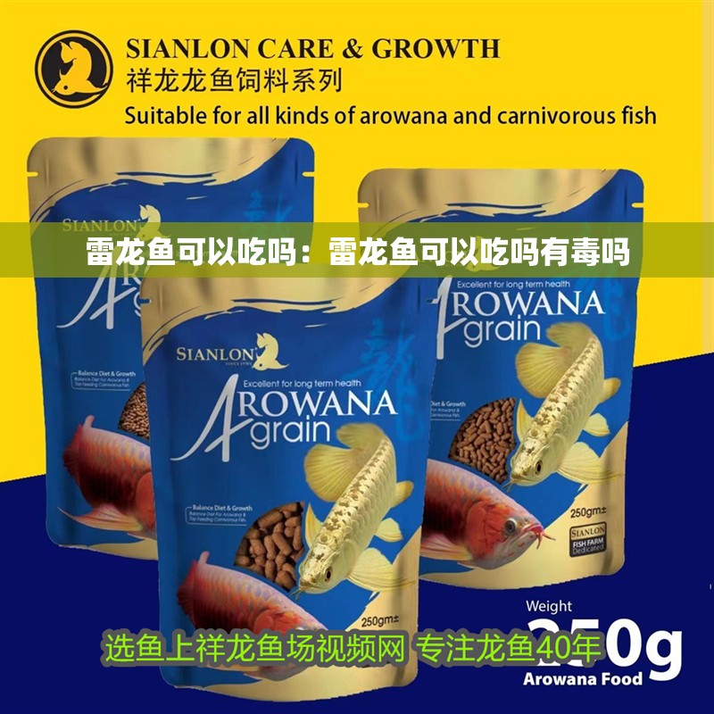 雷龍魚可以吃嗎：雷龍魚可以吃嗎有毒嗎
