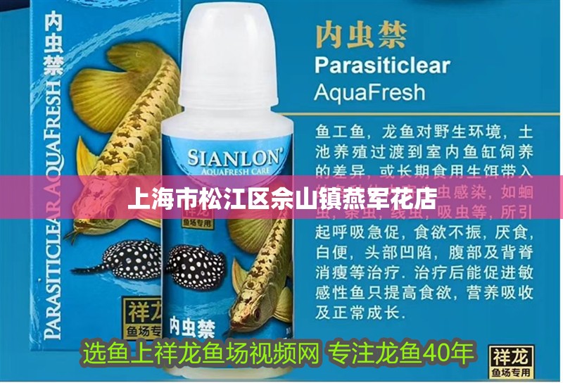 上海市松江區(qū)佘山鎮(zhèn)燕軍花店 上海市松江區(qū)佘山鎮(zhèn)燕軍花店 全國水族館企業(yè)名錄 第1張