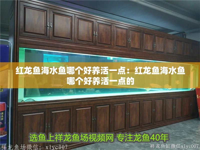 紅龍魚海水魚哪個好養活一點：紅龍魚海水魚哪個好養活一點的