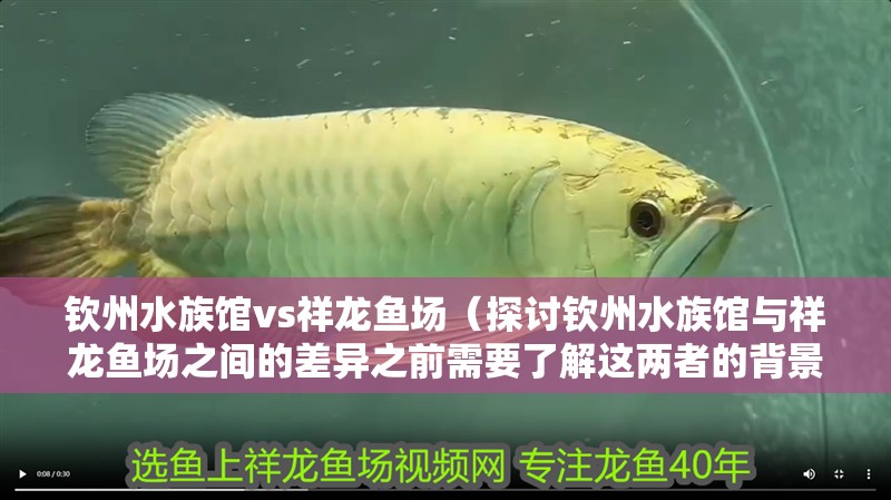 欽州水族館vs祥龍魚場（探討欽州水族館與祥龍魚場之間的差異之前需要了解這兩者的背景信息）