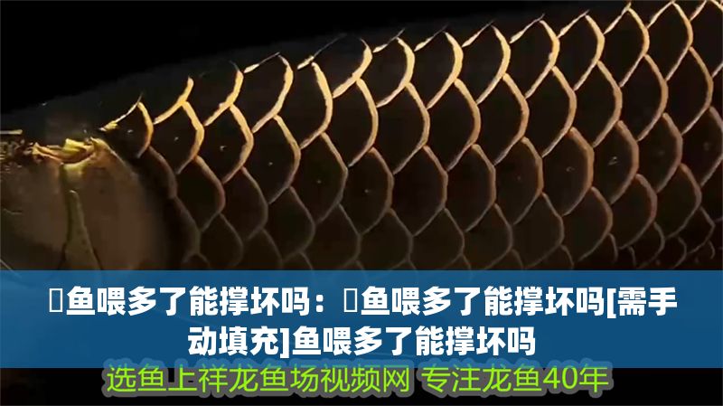 魟魚喂多了能撐壞嗎：魟魚喂多了能撐壞嗎[需手動填充]魚喂多了能撐壞嗎 魟魚喂多了能撐壞嗎：魟魚喂多了能撐壞嗎[需手動填充]魚喂多了能撐壞嗎 魟魚百科 第2張
