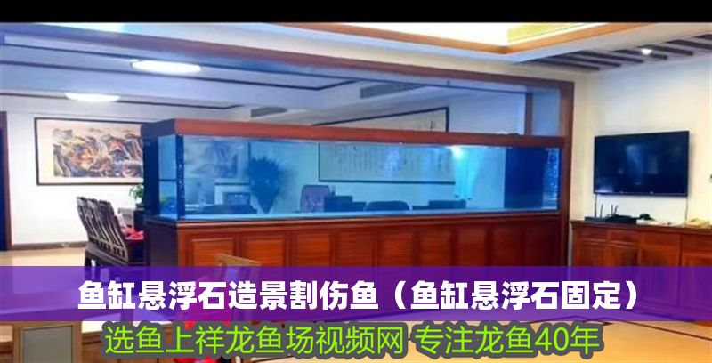 魚缸懸浮石造景割傷魚（魚缸懸浮石固定）