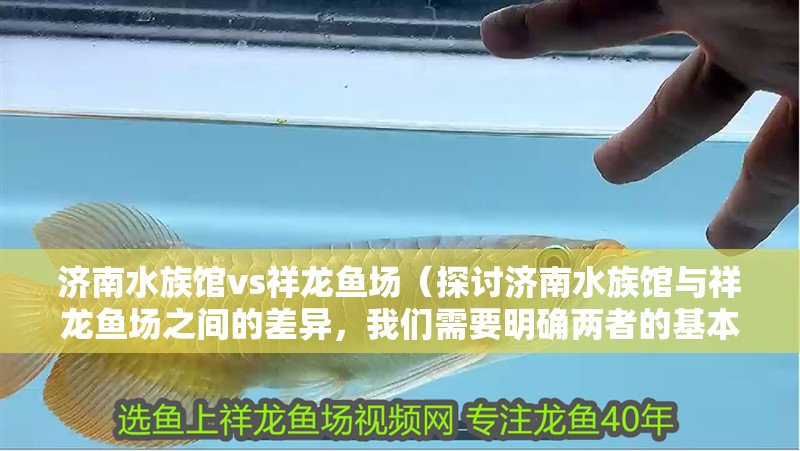 濟南水族館vs祥龍魚場（探討濟南水族館與祥龍魚場之間的差異，我們需要明確兩者的基本信息）