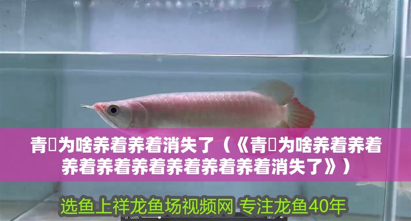 青鳉為啥養(yǎng)著養(yǎng)著消失了（《青鳉為啥養(yǎng)著養(yǎng)著養(yǎng)著養(yǎng)著養(yǎng)著養(yǎng)著養(yǎng)著養(yǎng)著消失了》）