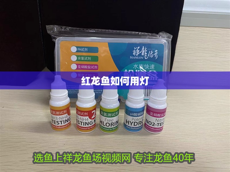 紅龍魚如何用燈