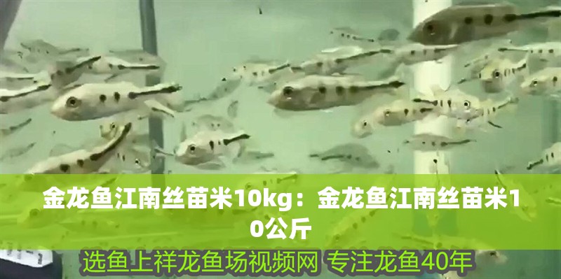 金龍魚(yú)江南絲苗米10kg：金龍魚(yú)江南絲苗米10公斤