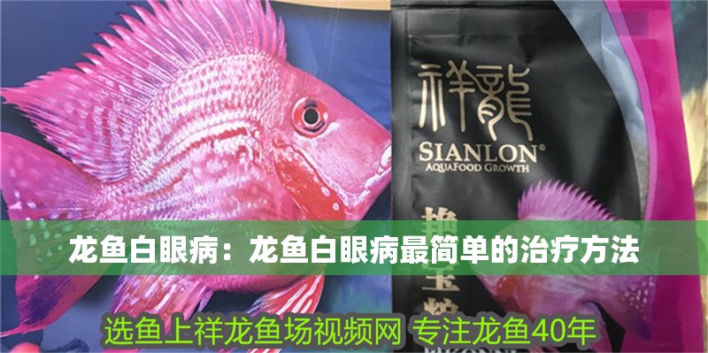 龍魚白眼病：龍魚白眼病最簡(jiǎn)單的治療方法