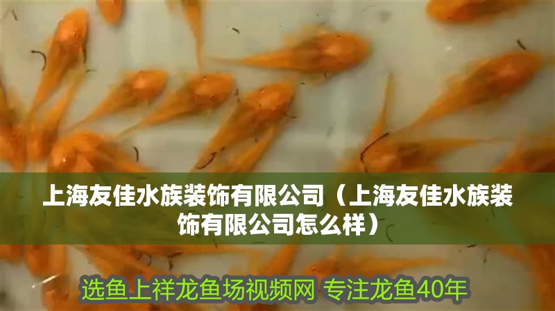 上海友佳水族裝飾有限公司（上海友佳水族裝飾有限公司怎么樣）
