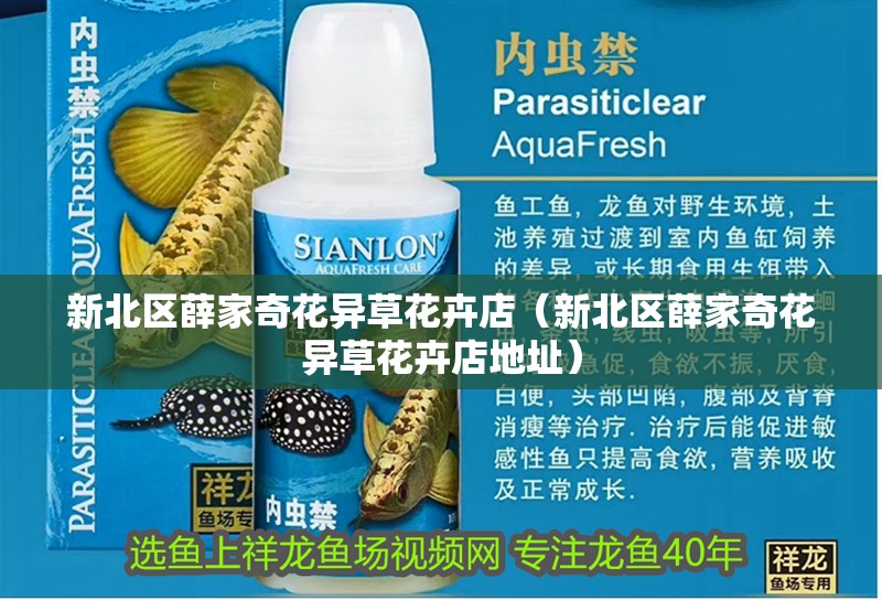 新北區薛家奇花異草花卉店（新北區薛家奇花異草花卉店地址）