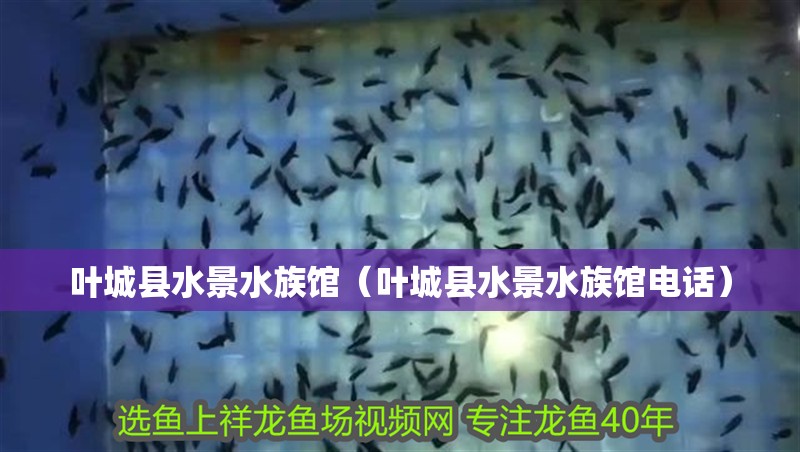 葉城縣水景水族館（葉城縣水景水族館電話） 葉城縣水景水族館（葉城縣水景水族館電話） 全國水族館企業名錄 第1張