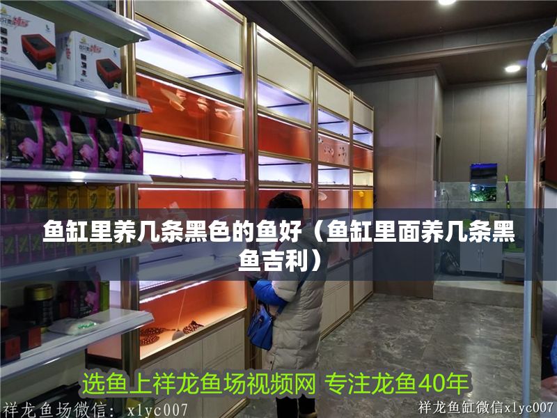 魚缸里養(yǎng)幾條黑色的魚好（魚缸里面養(yǎng)幾條黑魚吉利）