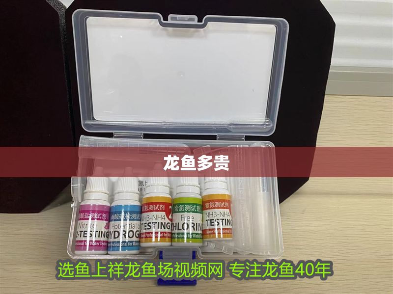 龍魚多貴 龍魚多貴 龍魚百科 第2張