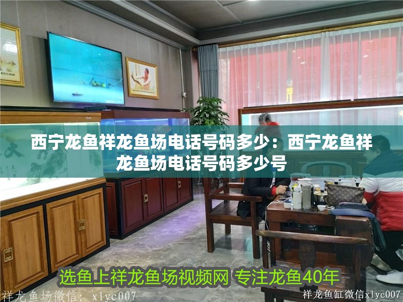 西寧龍魚祥龍魚場電話號碼多少：西寧龍魚祥龍魚場電話號碼多少號