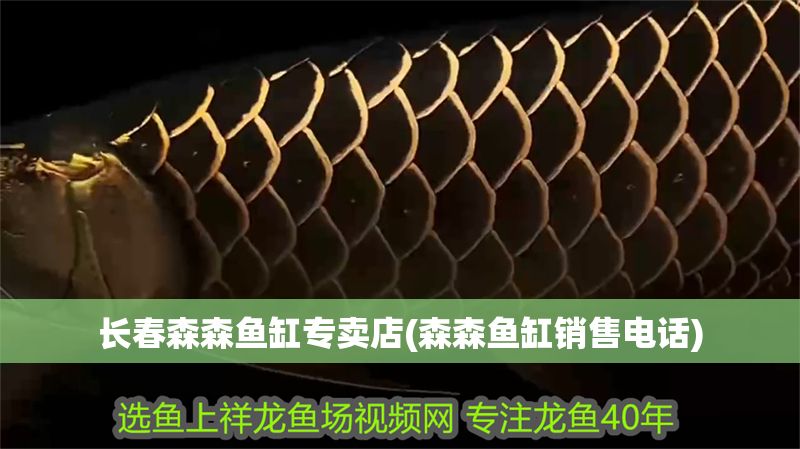 長春森森魚缸專賣店(森森魚缸銷售電話)