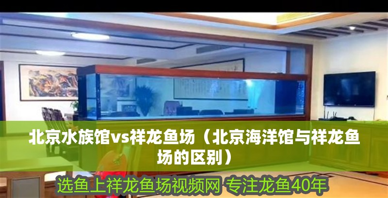 北京水族館vs祥龍魚場(北京海洋館與祥龍魚場的區別)