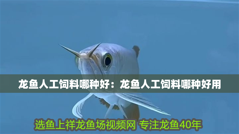 龍魚人工飼料哪種好：龍魚人工飼料哪種好用