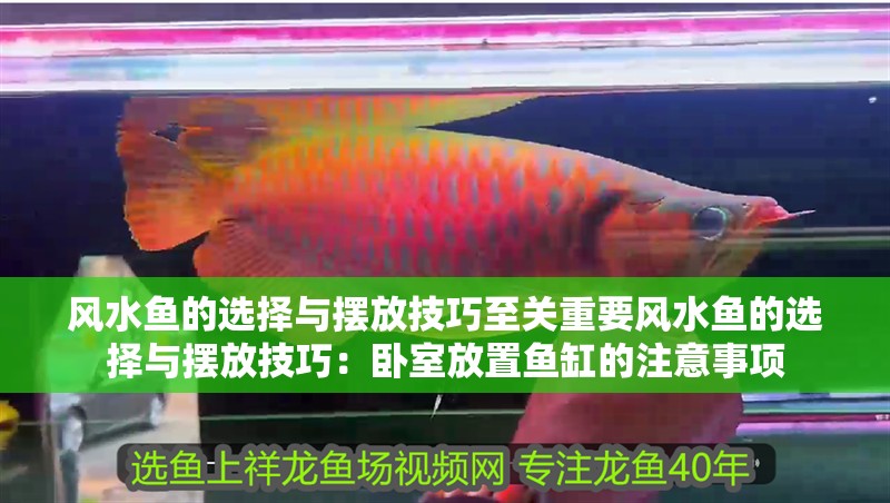風(fēng)水魚的選擇與擺放技巧至關(guān)重要風(fēng)水魚的選擇與擺放技巧：臥室放置魚缸的注意事項(xiàng)