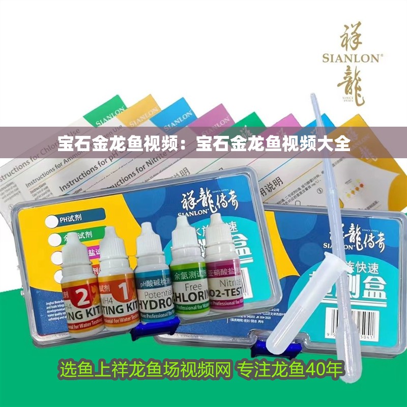 寶石金龍魚視頻：寶石金龍魚視頻大全 寶石金龍魚視頻：寶石金龍魚視頻大全 水族問答