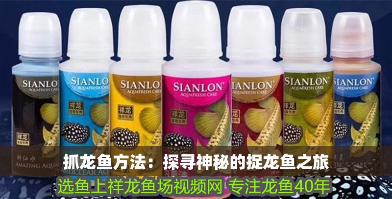抓龍魚方法：探尋神秘的捉龍魚之旅